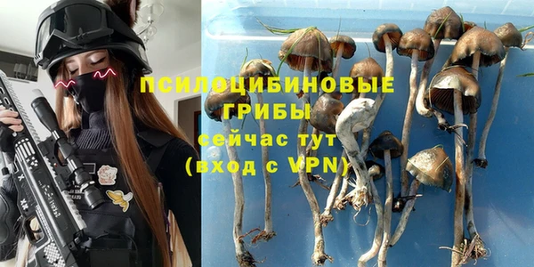 героин Алзамай