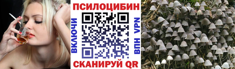 хочу наркоту Кыштым Галлюциногенные грибы Cubensis