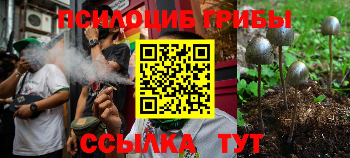 Кыштым  Псилоцибиновые грибы Psilocybine cubensis  Вход с VPN 